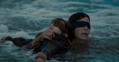 bird box